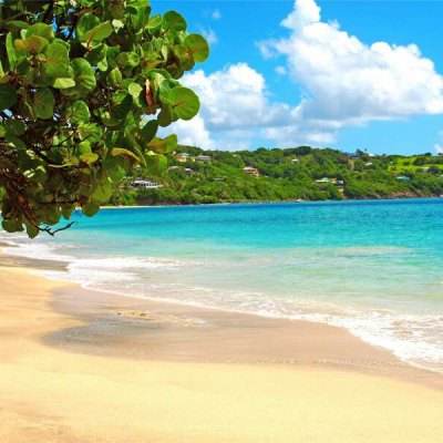 华体会体育截图